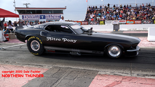 Ray Stringer - 'Nitro Pony'